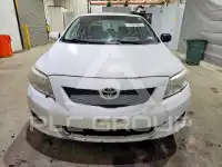 2009 Toyota COROLLA photo