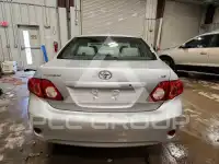 2009 Toyota COROLLA фото