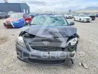 2009 Toyota COROLLA photo