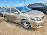 2009 Toyota COROLLA фото