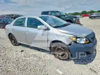 2009 Toyota COROLLA фото