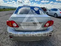2009 Toyota COROLLA photo