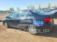 2009 Toyota COROLLA фото