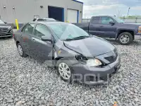 2009 Toyota COROLLA photo