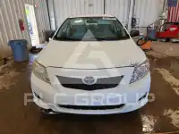 2009 Toyota COROLLA фото