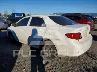 2009 Toyota COROLLA photo
