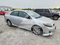 2009 Toyota COROLLA фото