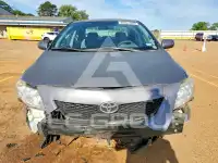 2009 Toyota COROLLA фото