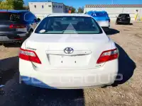2009 Toyota CAMRY фото