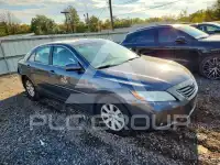 2009 Toyota CAMRY фото
