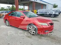2009 Toyota CAMRY фото