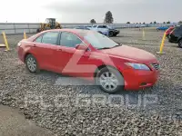 2009 Toyota CAMRY фото
