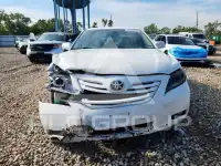 2009 Toyota CAMRY photo