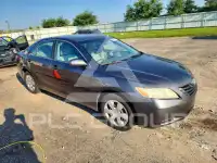 2009 Toyota CAMRY photo