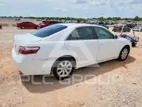 2009 Toyota CAMRY фото