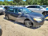 2009 Toyota CAMRY фото
