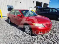 2009 Toyota CAMRY фото
