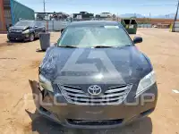 2009 Toyota CAMRY фото