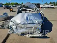 2009 Toyota CAMRY фото