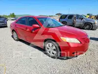 2009 Toyota CAMRY фото