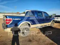 2009 Ford F-150 фото