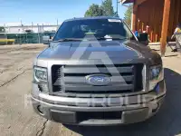 2009 Ford F-150 фото