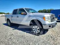 2009 Ford F-150 фото