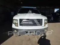 2009 Ford F-150 photo