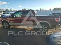 2009 Ford F-150 photo