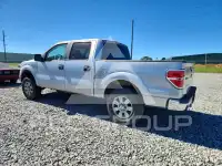 2009 Ford F-150 фото