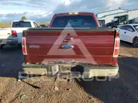 2009 Ford F-150 photo