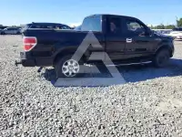 2009 Ford F-150 photo