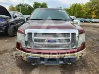 2009 Ford F-150 photo