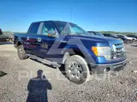 2009 Ford F-150 фото