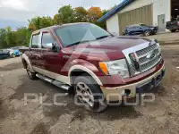 2009 Ford F-150 photo