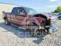 2009 Ford F-150 photo