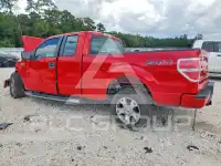 2009 Ford F-150 photo