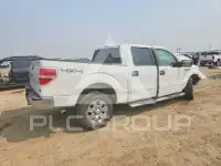 2009 Ford F-150 фото