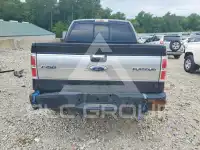 2009 Ford F-150 фото