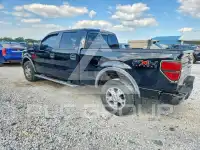 2009 Ford F-150 фото
