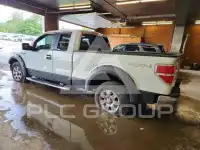 2009 Ford F-150 фото