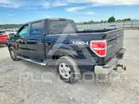 2009 Ford F-150 photo
