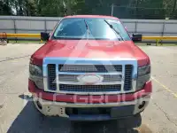 2009 Ford F-150 photo