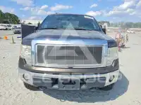 2009 Ford F-150 фото