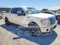 2009 Ford F-150 фото