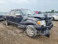 2009 Ford F-150 фото