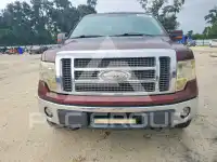 2009 Ford F-150 фото