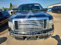 2009 Ford F-150 фото