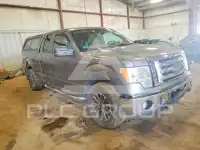 2009 Ford F-150 photo