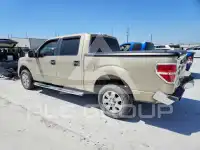 2009 Ford F-150 фото
